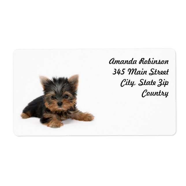 Cute Yorkshire Terrier Puppy Fraktsedel (Framsidan)