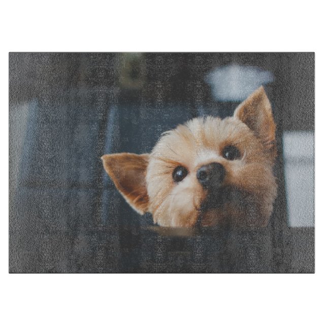 Cute Yorkshire Terrier Puppy Hund Caking Board (Framsidan)