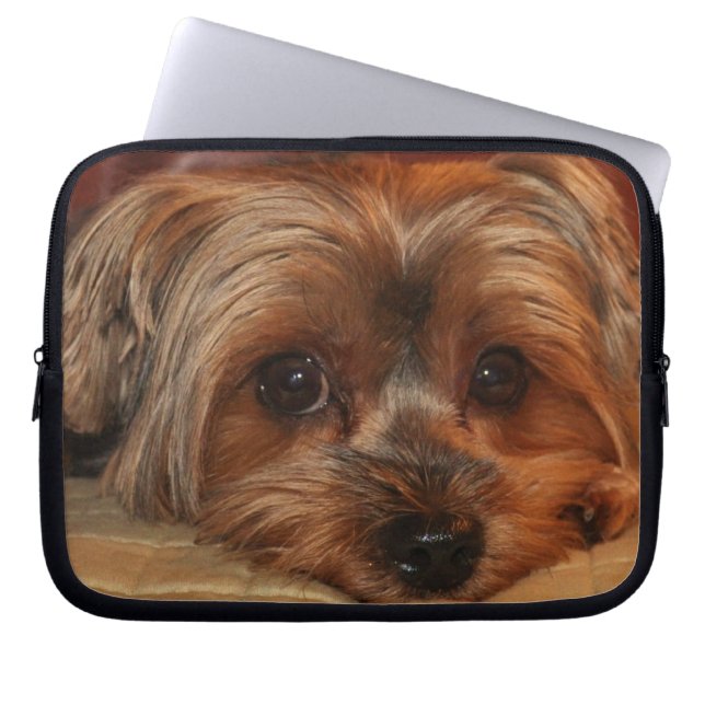 Cute Yorkshire Terrier Puppy Hund Laptop Fodral (Framsidan)