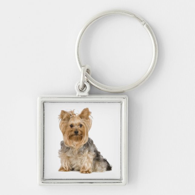 Cute Yorkshire Terrier Puppy Hund Nyckelring (Framsidan)