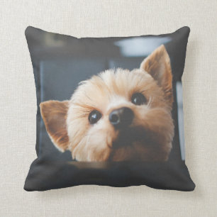 Cute Yorkshire Terrier Puppy Hund Pillow Kudde