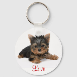 Cute Yorkshire Terrier Puppy Kärlek Nyckelring