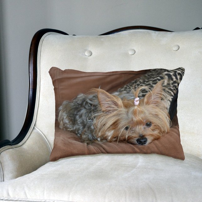 Cute Yorkshire Terrier Puppy Prydnadskudde (Skapare uppladdad)