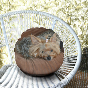 Cute Yorkshire Terrier Puppy Rund Kudde