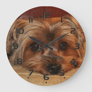 Cute Yorkshire Terrier Puppy Stor Klocka