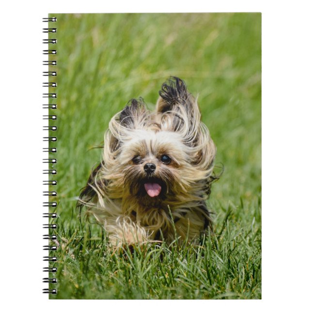 Cute Yorkshire Terrier Runthrough Grass Anteckningsbok (Framsidan)