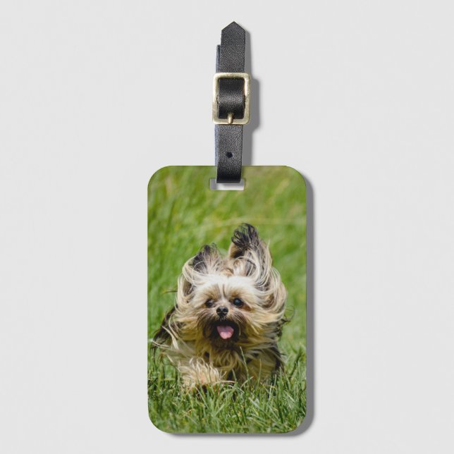 Cute Yorkshire Terrier Runthrough Grass Bagagebricka (Framsida vertikal)