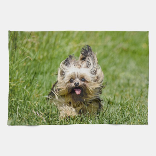 Cute Yorkshire Terrier Runthrough Grass Kökshandduk (Horisontell)