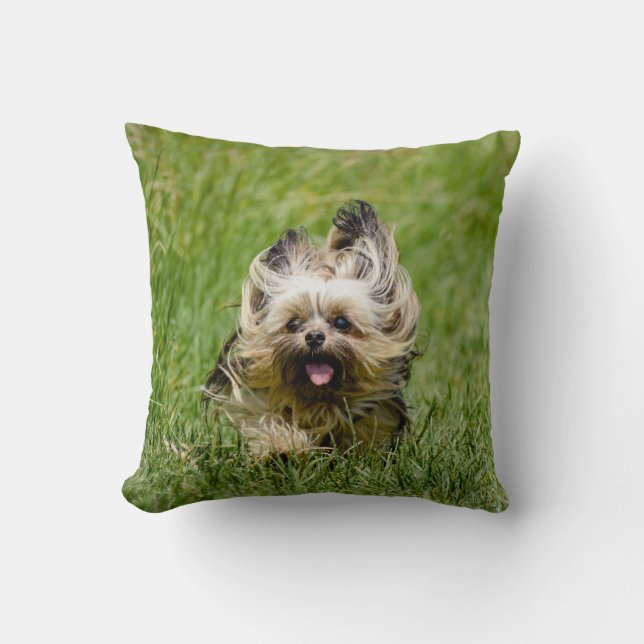 Cute Yorkshire Terrier Runthrough Grass Kudde (Framsida)