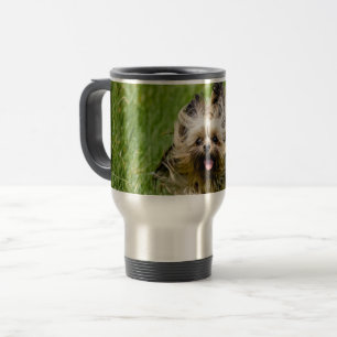 Cute Yorkshire Terrier Runthrough Grass Resemugg
