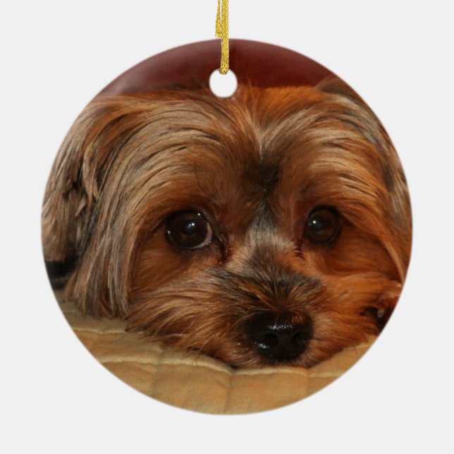 Cute Yorkshire Terrier Yorkie Hund Julgransprydnad Keramik (Baksidan)