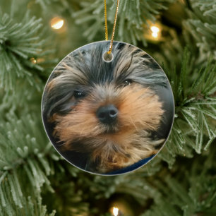 Cute Yorkshire Terrier Yorkie Puppy Hund Julgransprydnad Keramik