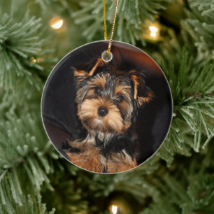 Cute Yorkshire Terrier Yorkie Puppy Hund Julgransprydnad Keramik