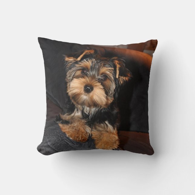 Cute Yorkshire Terrier Yorkie Puppy Hund Pillow Kudde (Framsida)