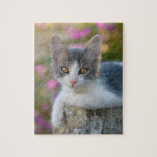 Cute Young Bicolor Cat Kitten Flowers Photo - Game Pussel (Vertikal)