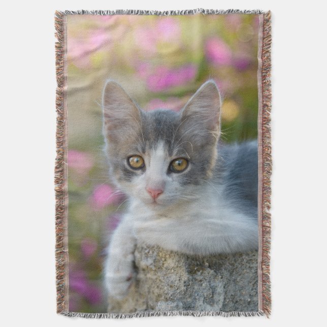 Cute Young Bicolor Cat Kitten Rosa Flowers - Filt (Framsidan Vertikal)