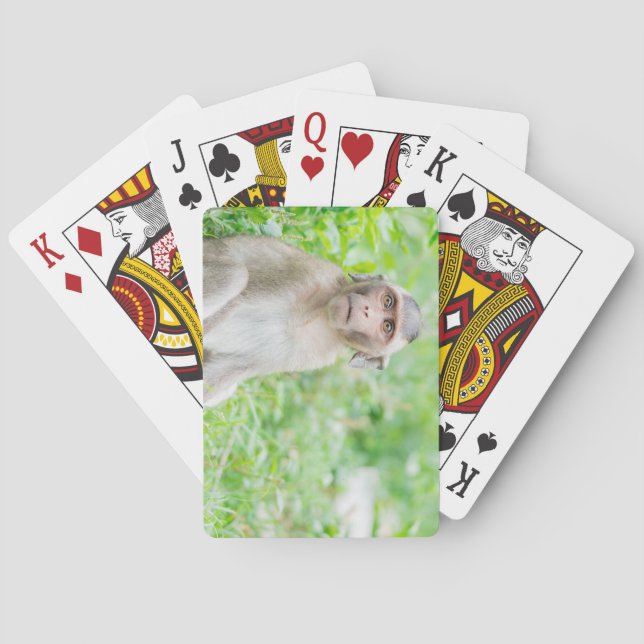 Cute Young Brown Spider Monkey Casinokort (Baksidan)
