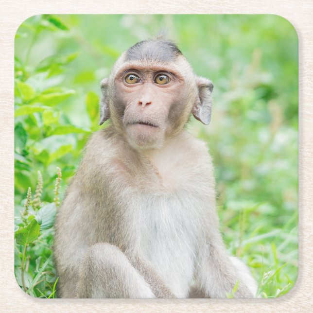 Cute Young Brown Spider Monkey Underlägg Papper Kvadrat (Framsidan)