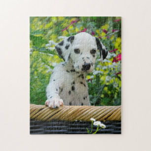 Cute Young Dalmatian Hund Puppy Game 11x14 Pussel