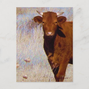 Cute Young Red Cow Cattle with Horns Western Vykort