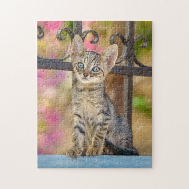 Cute Young Tabby Kitten med Blue Ögon i en Garden Pussel (Vertikal)