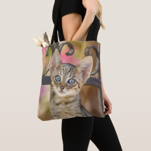 Cute Young Tabby Kitten med Blue Ögon i en Garden Tygkasse