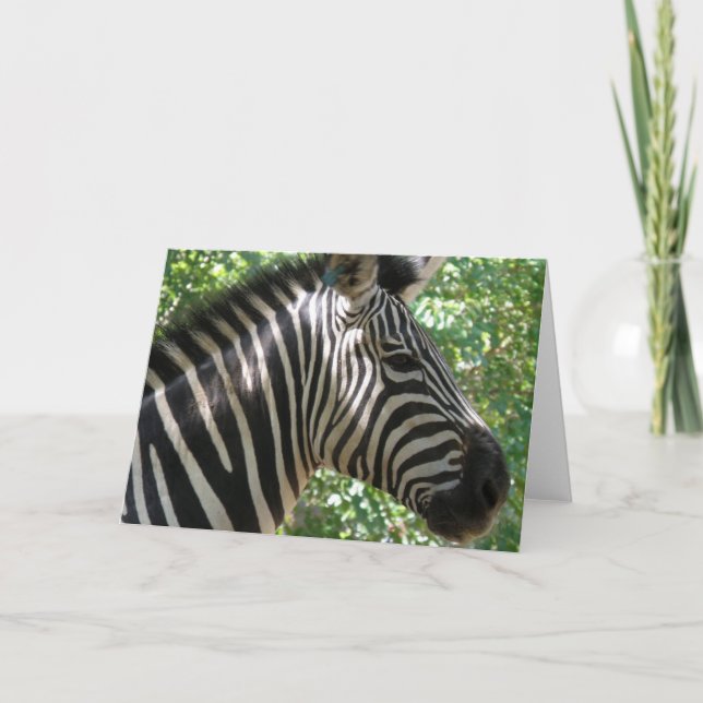 Cute Zebra-hälsningskort Kort (Framsida)