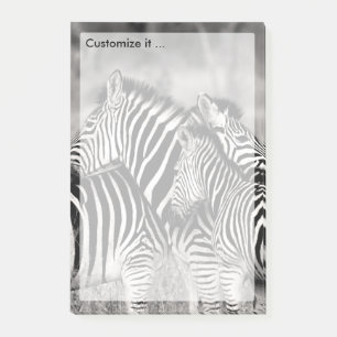 Cute Zebra Herd Natur Safari Black White Post-it Block