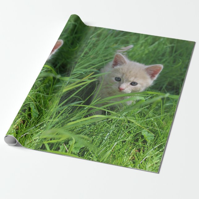 Cuteness Presentpapper (Utrullad)