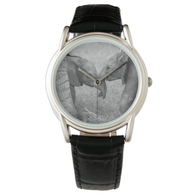 Cutest Baby Animals | Baby Elephants Greeting Armbandsur (Framsida)