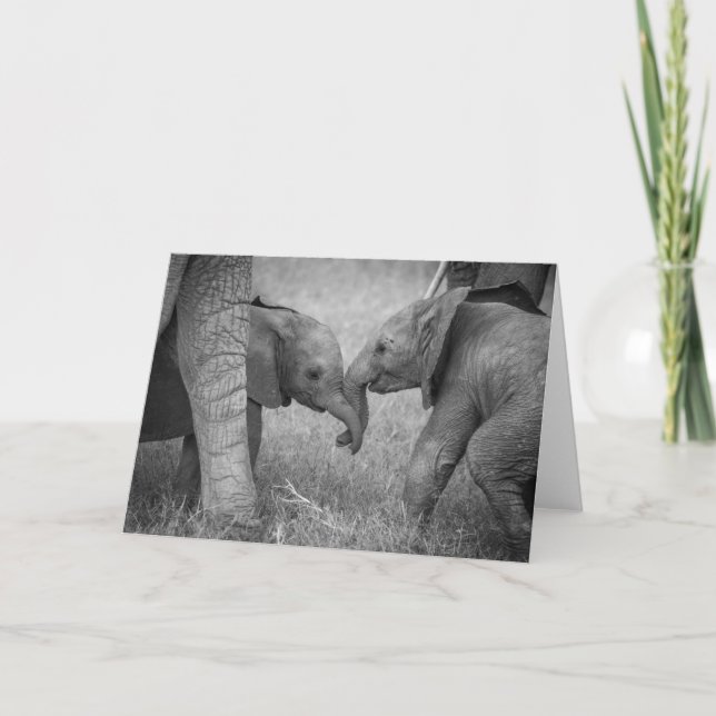 Cutest Baby Animals | Baby Elephants Greeting Kort (Framsida)
