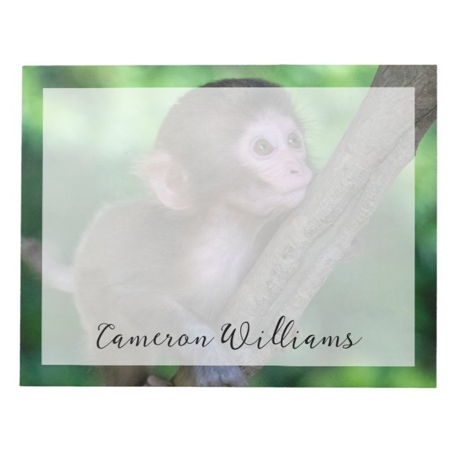 Cutest Baby Animals | Baby Monkey Anteckningsblock (Framsida)