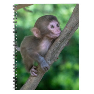 Cutest Baby Animals Baby Monkey Anteckningsbok