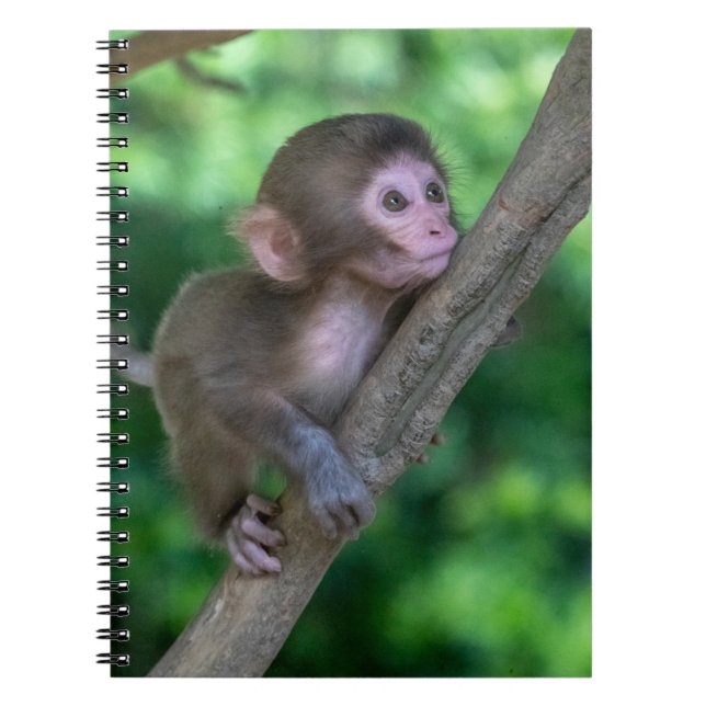 Cutest Baby Animals | Baby Monkey Anteckningsbok (Framsidan)