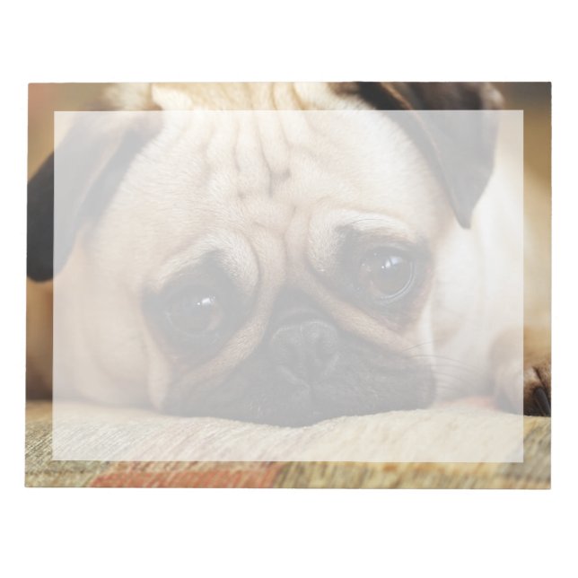 Cutest Baby Animals | Baby Pug Puppy Anteckningsblock (Framsida)