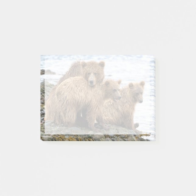 Cutest Baby Animals | Bear & Cubs Post-it Block (Framsida)