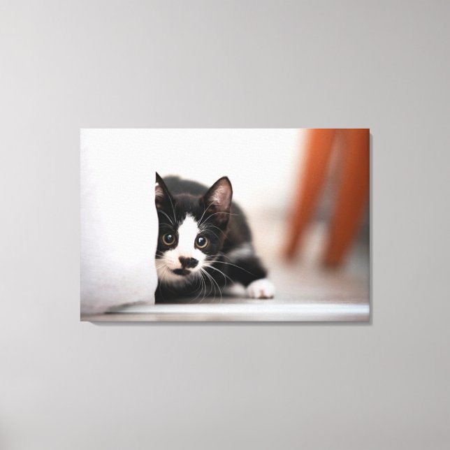 Cutest Baby Animals | Black & White Kitten Canvastryck (Framsida)