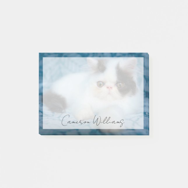 Cutest Baby Animals | Black & White Kitten Post-it Block (Framsida)