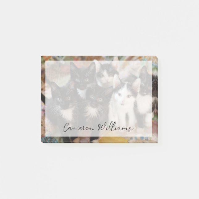 Cutest Baby Animals | Black & White Kittens Post-it Block (Framsida)