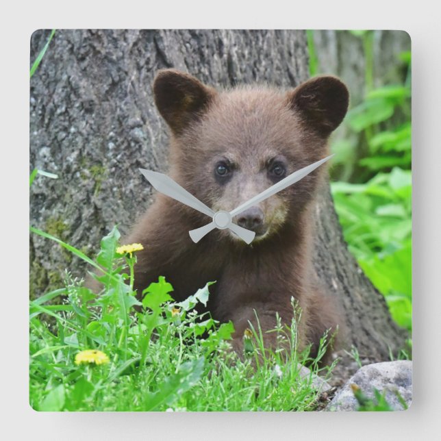 Cutest Baby Animals | Brown Bear Cub Fyrkantig Klocka (Framsida)