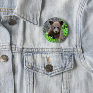 Cutest Baby Animals Brown Bear Cub Knapp