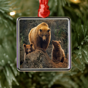 Cutest Baby Animals Brown Bear Family Julgransprydnad Metall