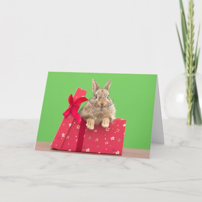 Cutest Baby Animals | Christmas Holiday Bunny Kort (Framsida)