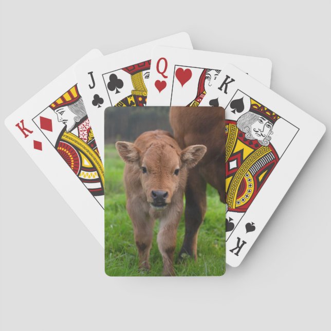 Cutest Baby Animals | Cow & Calf Casinokort (Baksidan)