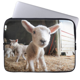 Cutest Baby Animals Cute Lamb in a Farm Laptop Fodral