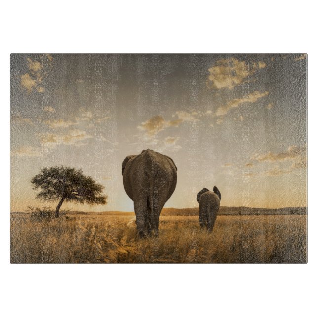 Cutest Baby Animals | Elephant Calf & Mother (Framsidan)
