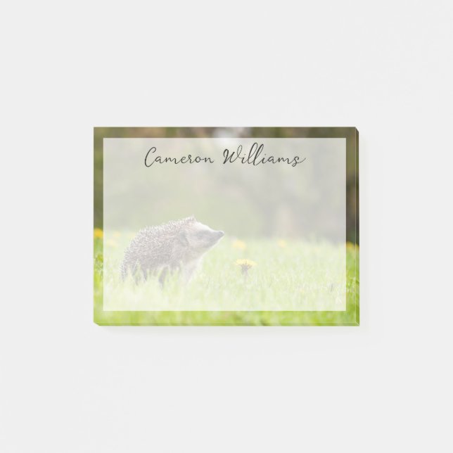 Cutest Baby Animals | European Hedgehog Post-it Block (Framsida)