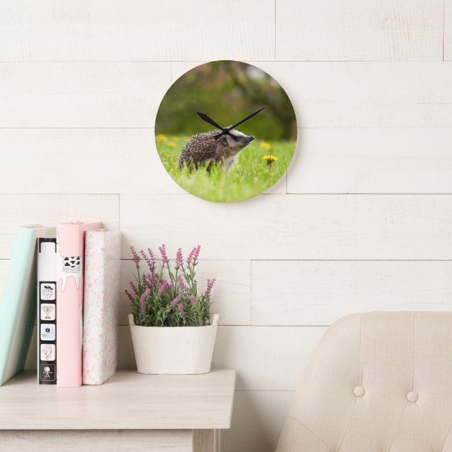 Cutest Baby Animals | European Hedgehog Stor Klocka (Läsesal)