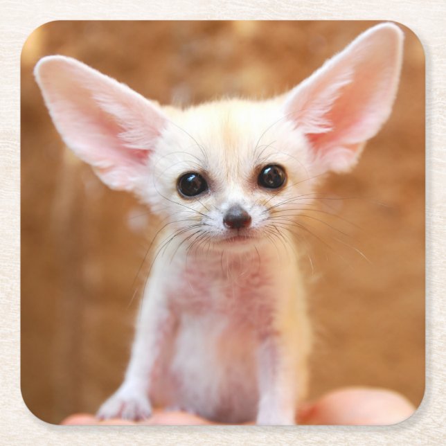 Cutest Baby Animals | Fennec Fox Underlägg Papper Kvadrat (Framsidan)