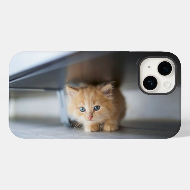 Cutest Baby Animals | Fluffy Orange Kitten (Baksida (horisontell))